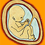 icon Fetal Kick Count