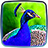 icon Peacocks Live Wallpaper 1.2