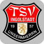 icon TSV Ingolstadt-Unsernherrn