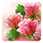 icon Roses Live Wallpaper 2.1